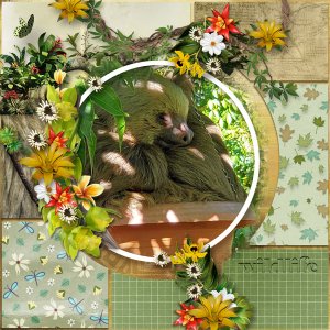 Scents of Spring