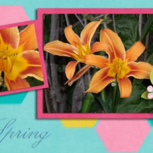 March FB Header