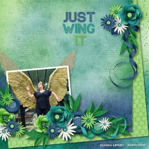 Just Wing It