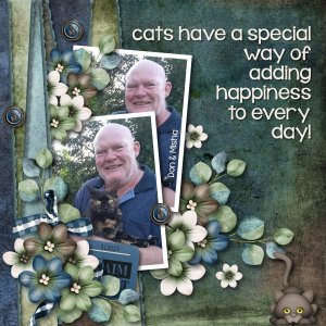 Cats are special