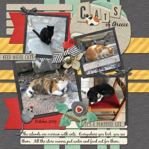 Cats Of Greece