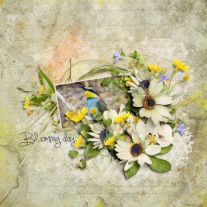 Blooming Day
