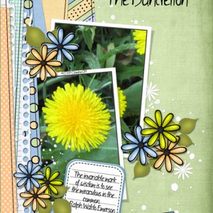 The Dandelion