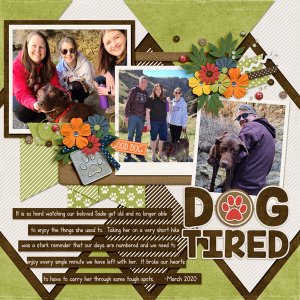 March-20-Jump-Creek-Hike-with-SadieWEB