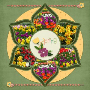 Spring Flowers