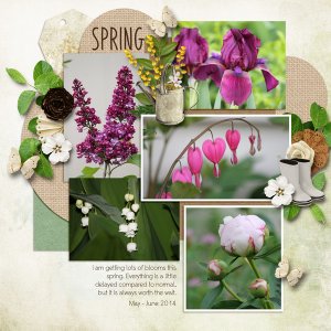 Dagilicious - Tiptoe Through The Garden