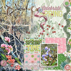 Spring Time