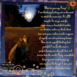 The Sweetness of Dogs