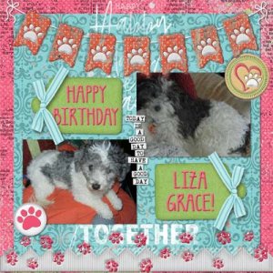 Happy Birthday Liza Grace