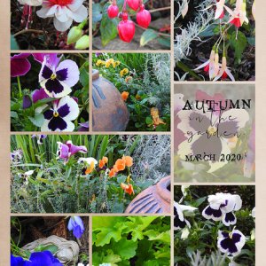 AUTUMN IN THE GARDEN