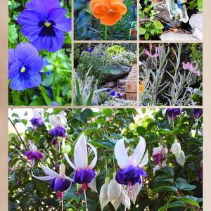 AUTUMN IN THE GARDEN