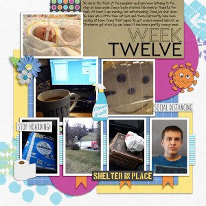 Week 12