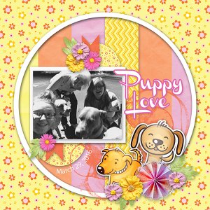 Come and Play Puppy Love