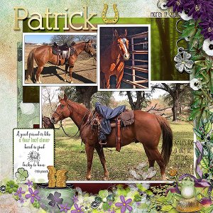 GSBingoCh320-Patrick11yrs31720