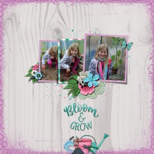 bloom and grow