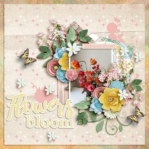 Flowers Bloom