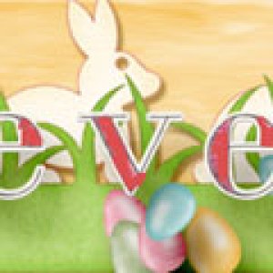 Bunnies