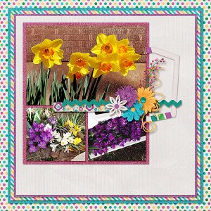 Spring Flowers