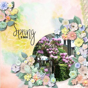 springhere