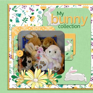 My bunny collection