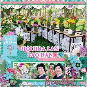 Spring flowers