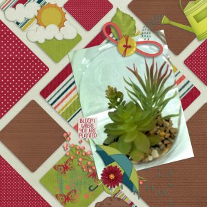 Indoor_gardening