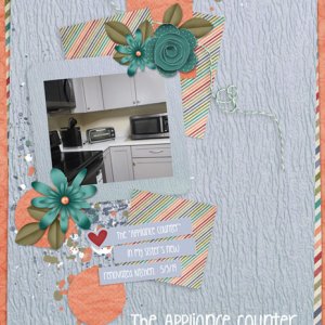 The Appliance Counter