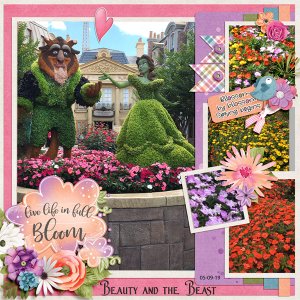 Beauty + the Beast