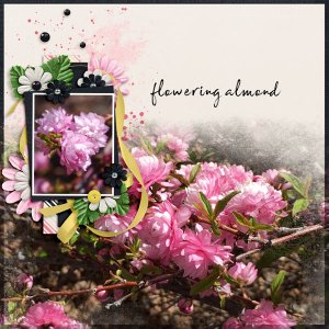 GS Survivor blending challenge-Flwr Almond