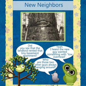 New Neighbors