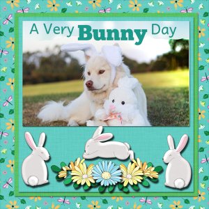 A Bunny Day
