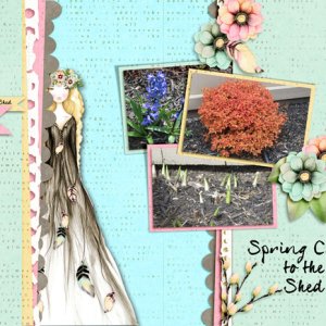 Spring Comes to the Shed