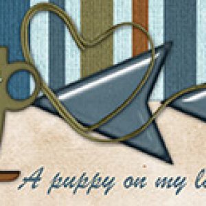 Apr 2020 Siggy