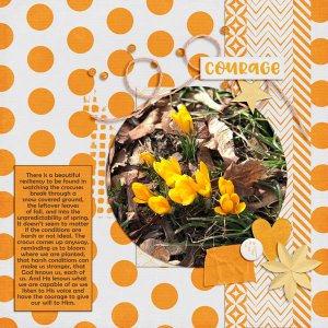 Courage to Bloom