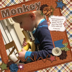 Monkey