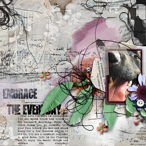 Embrace the Everyday