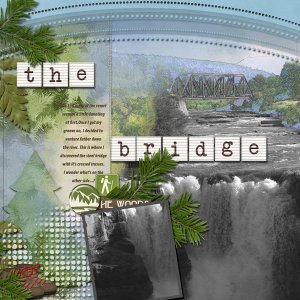 THE BRIDGE