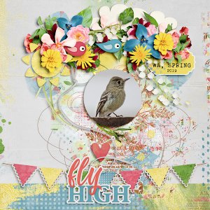 Fly High