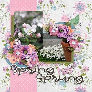 Spring has Sprung
