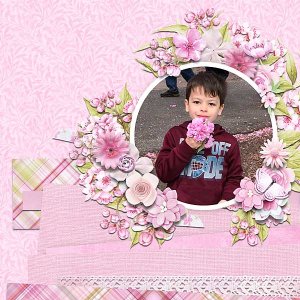 cherryfestivalkierna-copy