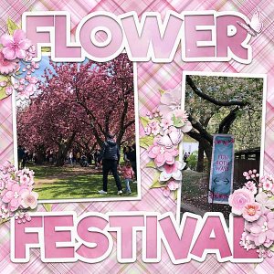 cherryfestivalsigns-copy