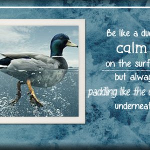 ATC 2020-052 Calm