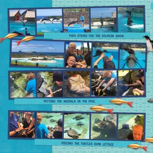 2017 HI Sea Life Park1