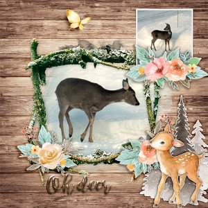 Oh-deer3