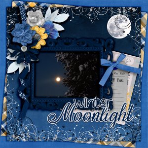 Winter-moonlight