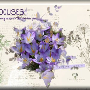 ATC 2020-055 Crocuses