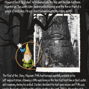 THE REST OF THE STORY