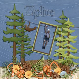 Zipline