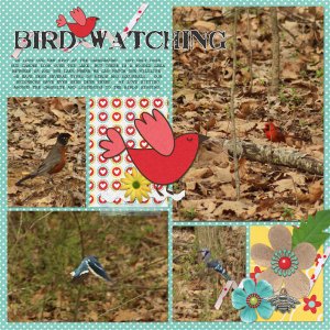 Bird Watching
