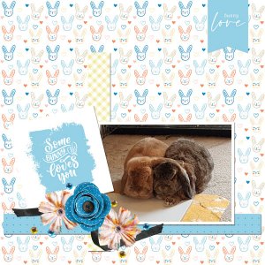 Happy Bunnies